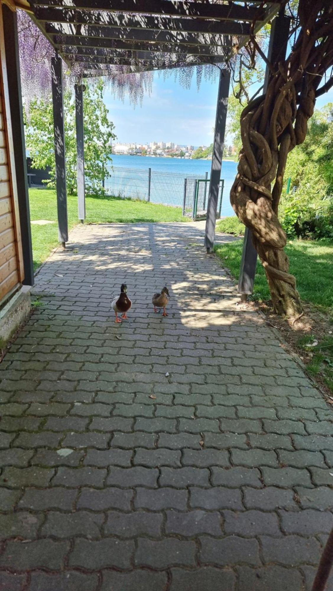 Topsenec-Lakeside Home Exterior foto